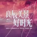 良辰美景游戏