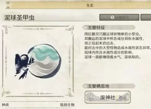 怪物猎人崛起甲虫介绍