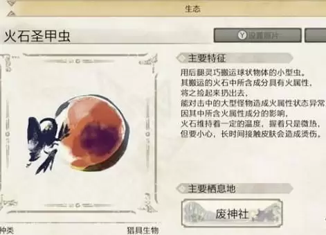 怪物猎人崛起甲虫介绍