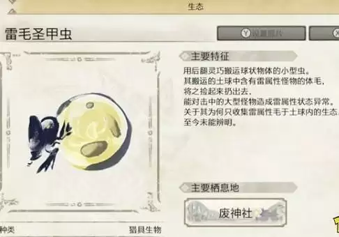 怪物猎人崛起甲虫介绍