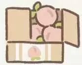 遇见你的猫触发猫圈道具大全分享