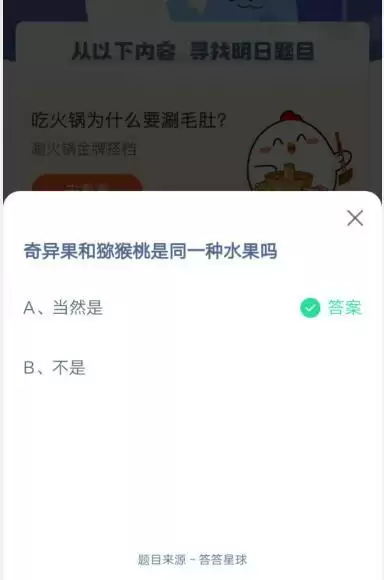 奇异果和猕猴桃是同一种水果吗