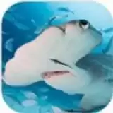 锤头鲨模拟器3d
