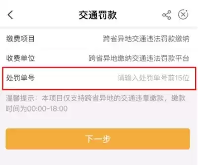 《农业银行》缴纳交通罚款方法介绍