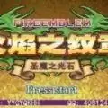 火焰纹章黑暗无双