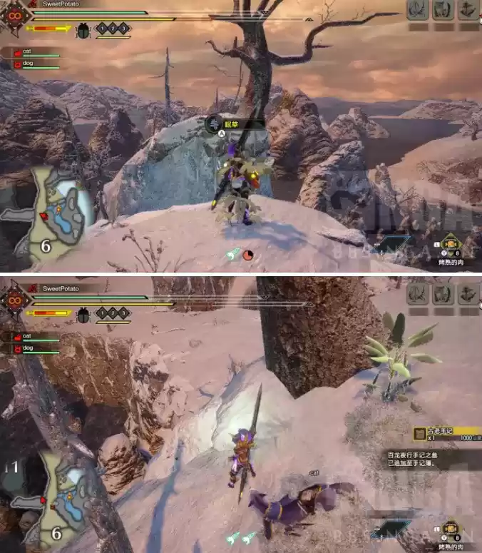 怪物猎人崛起冰封群岛手记簿获取位置大全