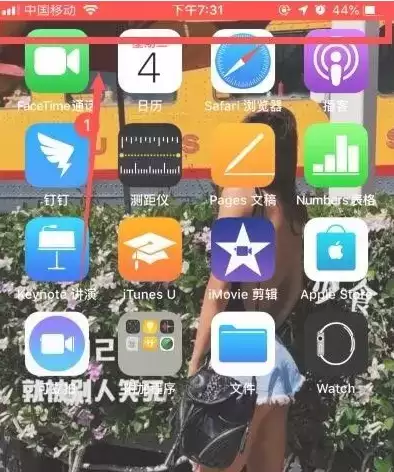 苹果的录屏功能在哪里