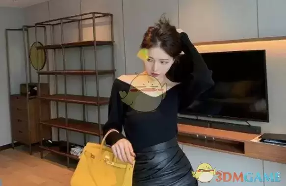 65页ppt是什么梗