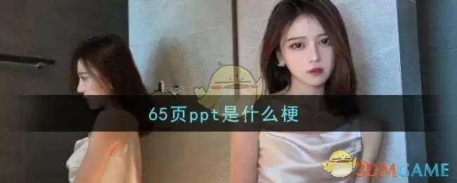 65页ppt是什么梗