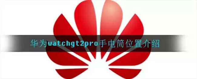 华为watchgt2pro手电筒位置介绍