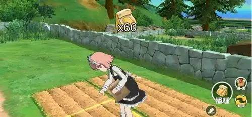 小森生活西兰花在哪