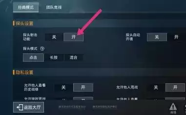 和平精英左右探头不见了怎么设置