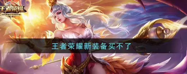 王者荣耀新装备买不了