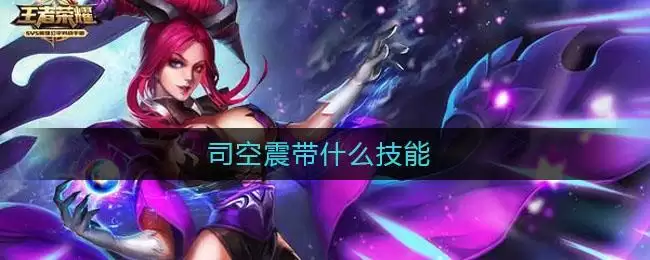 司空震带什么技能