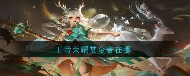 王者荣耀赏金赛在哪