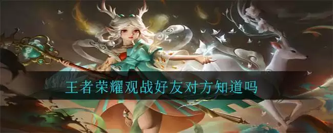 王者荣耀观战好友对方知道吗