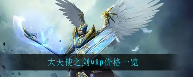 大天使之剑vip列表