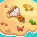 当岛主以后红包