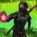 忍者格斗武士中文