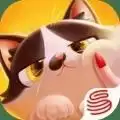 猫猫粉碎测试服