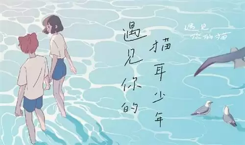 遇见你的猫爱心获取途径大全