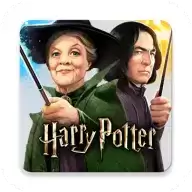 哈利波特霍格沃茨之谜中文