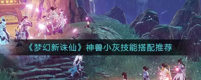 《梦幻新诛仙》神兽小灰技能搭配推荐