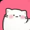 整理猫猫