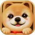 心动小狗伙伴