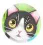 我的猫咪红包版