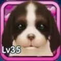 狗狗快跑