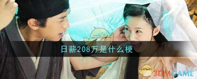 日薪208万是什么梗