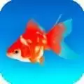 金鱼模拟器
