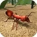 火蚁模拟器
