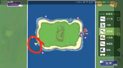 小森生活金枪鱼王在哪