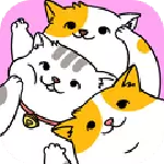 小猫公寓