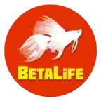 比特生活模拟器