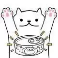 我的小猫咪