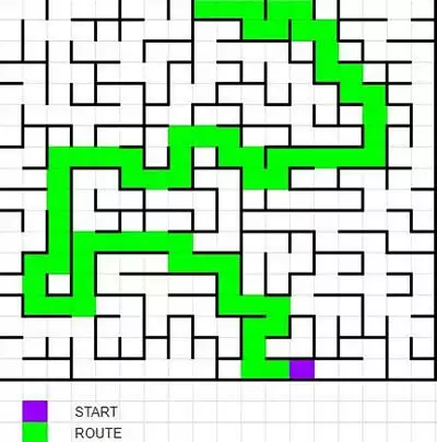 炉石传说德鲁伊谜题解答步骤及迷宫走法分享