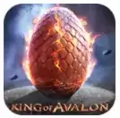 阿瓦隆之王小米