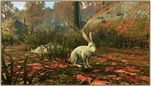 明日之后白兔在哪抓?白兔抓铺方法介绍图片2