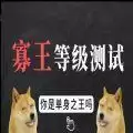 寡王等级测试小