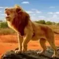 狮子王模拟器
