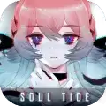 灵魂潮汐版