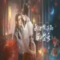 闪艺我当炮灰那些年免费完整
