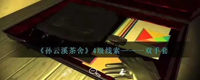 《孙美琪疑案：云溪茶舍》四级线索——一双手套