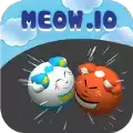 猫战斗机