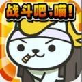 猫猫大战