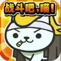 猫猫大战