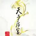 天子后宫橙光